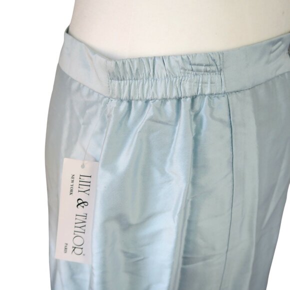 NWT Lily & Taylor Silk Dress Suit Light Blue Size 12 Church Formalwear Elegant - Picture 8 of 12